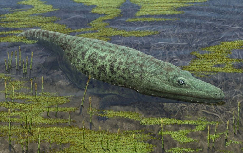 Quai vat dam lay anh 2