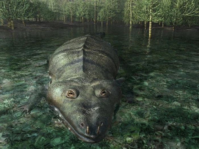 Quai vat dam lay anh 4