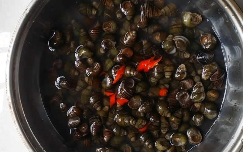 Sai lam khi an oc anh 3