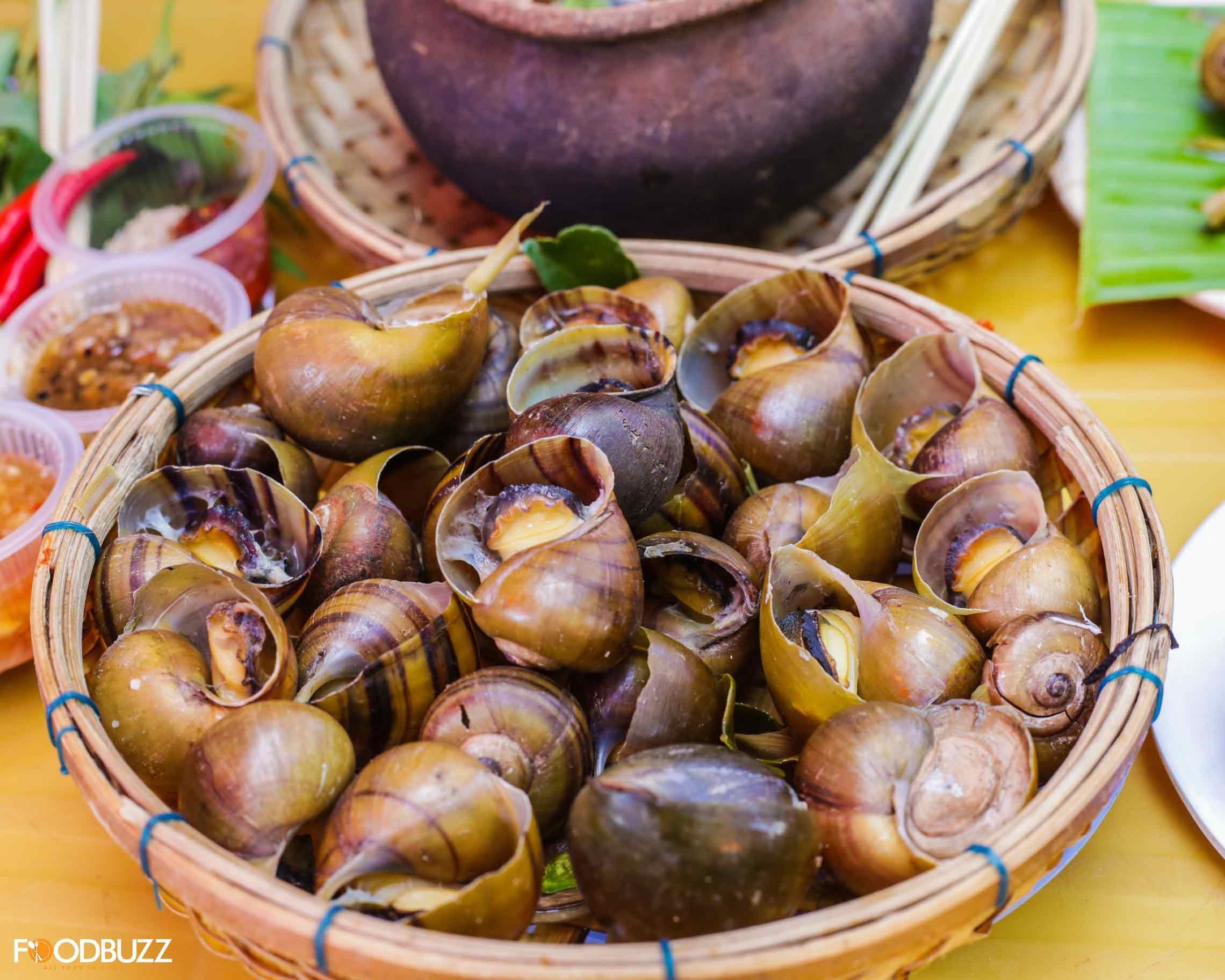 Sai lam khi an oc anh 7