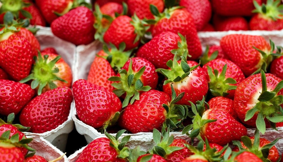 Trai cay tot cho than anh 1