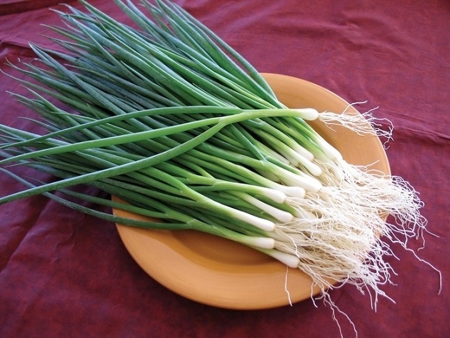 Tin mung bat ngo cho nguoi thich an nhieu hanh la hinh anh