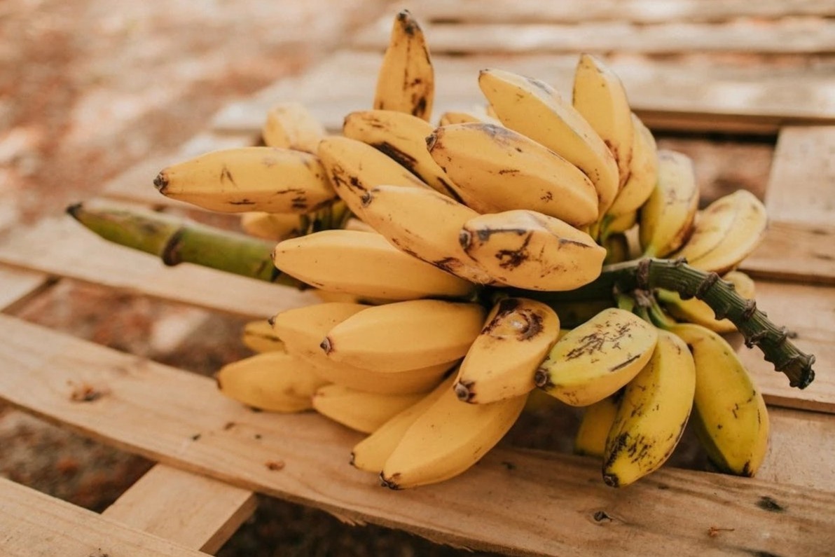 Tin mung cho nguoi thich an chuoi hinh anh