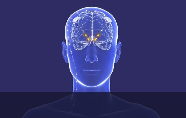 Trung Quoc: Tranh cai thu nghiem cay ghep nao dieu tri nghien ma tuy hinh anh