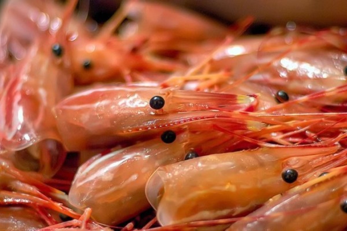 Bo phan rat ban cua tom, ngon may cung nen tranh an hinh anh