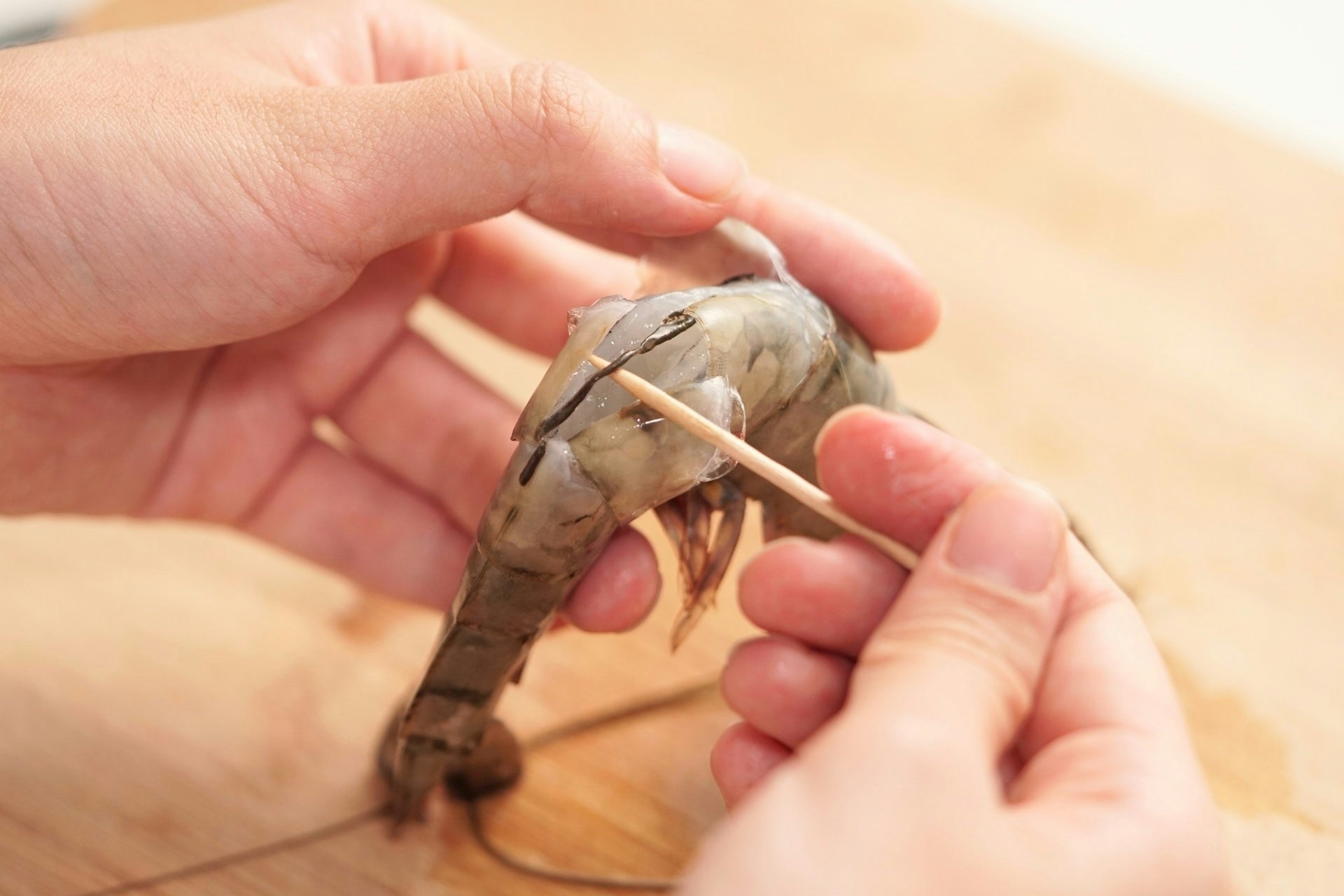 Bo phan cua tom anh 1