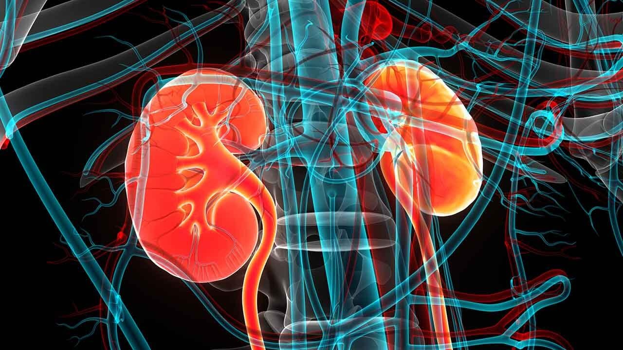 Benh suy than man tinh: Bac si neu 8 trieu chung dien hinh hinh anh