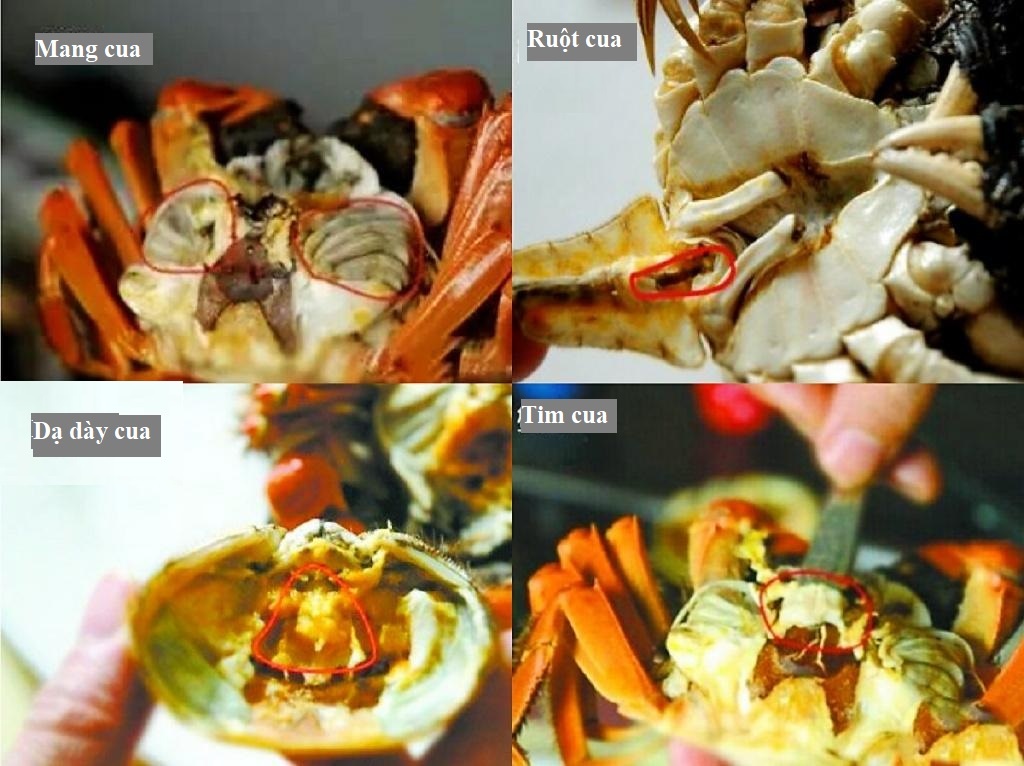 Bo phan cua cua anh 1