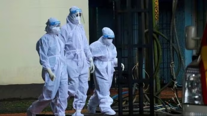 Virus Nipah bung phat o An Do, Bo Y te phat khuyen cao hinh anh