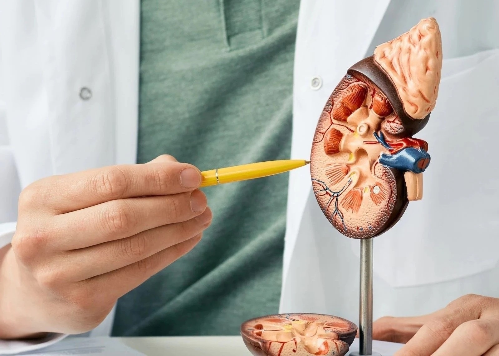 Bat thuong o nuoc tieu anh 1