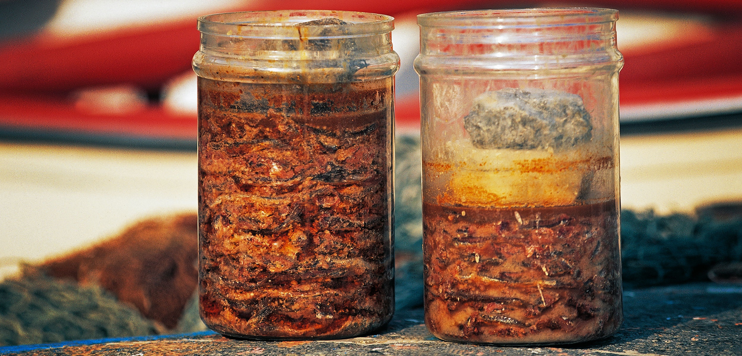 Co gai 24 tuoi mo ta huong vi cua mon an nhiem doc botulinum hinh anh