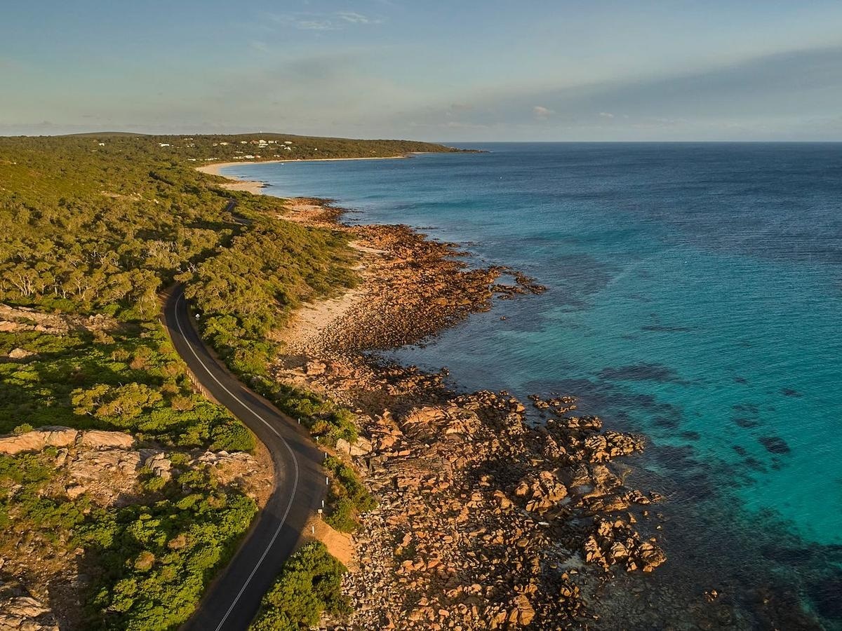 Dong vat nguy hiem anh 1