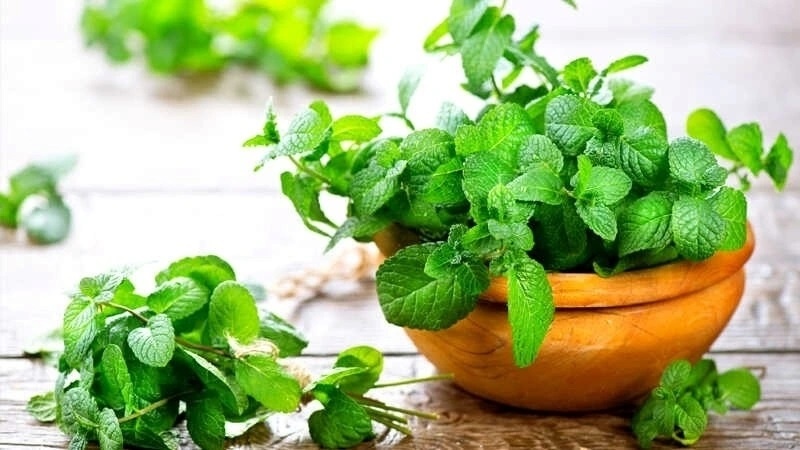 Tac dung cua bac ha anh 1