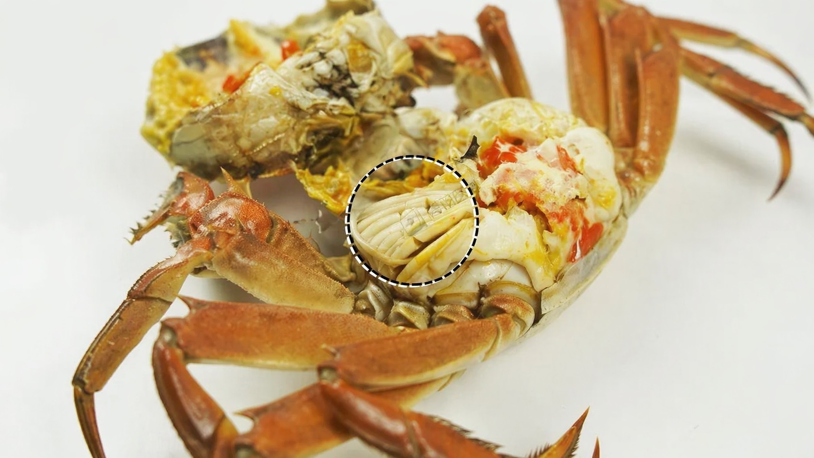 Bo phan ban cua cua anh 1