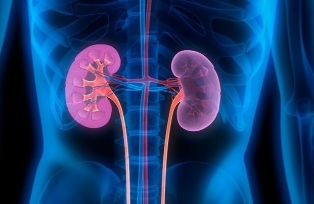 Nguoi dan ong suy than o tuoi 35 vi mon an nguy hiem hinh anh