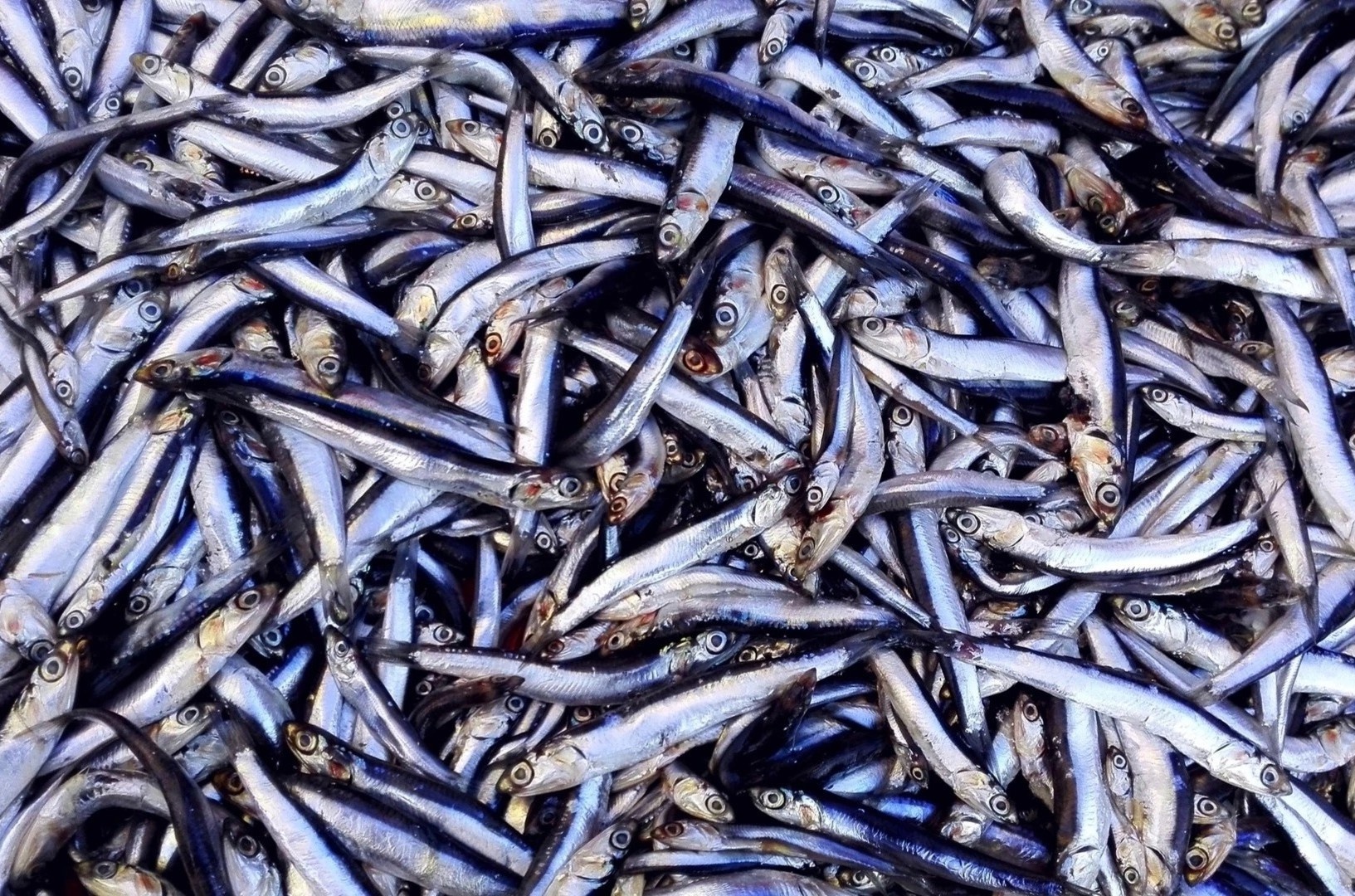 5 thuc pham la 'kho canxi' doi dao, giup xuong chac khoe hinh anh