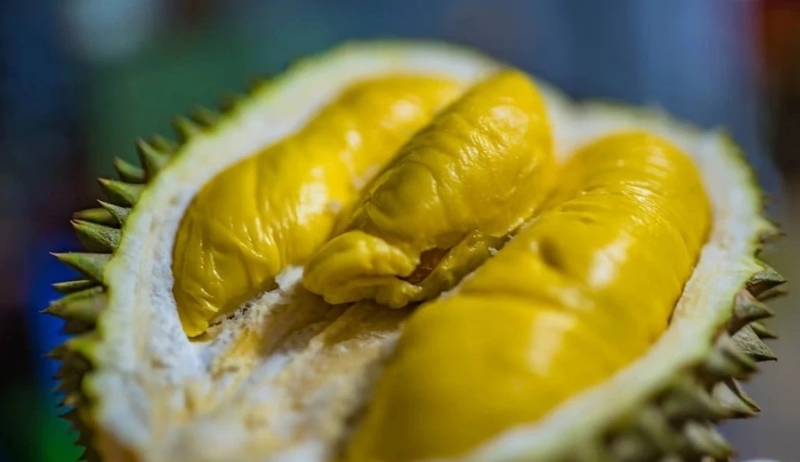 An sau rieng anh 1