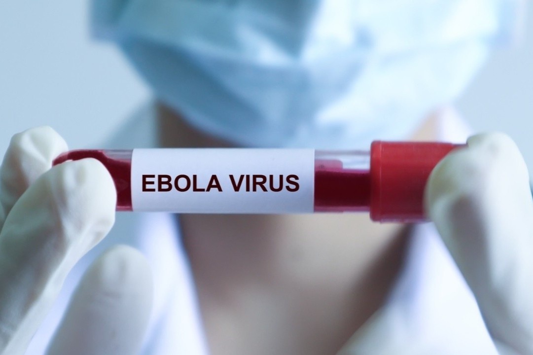 WHO canh bao khan cap dich Ebola, Bo Y te ra thong bao moi hinh anh