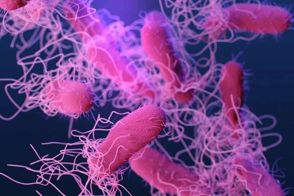 Vu nghi ngo doc o Gia Lai: 7/30 mau benh pham nhiem khuan Salmonella hinh anh