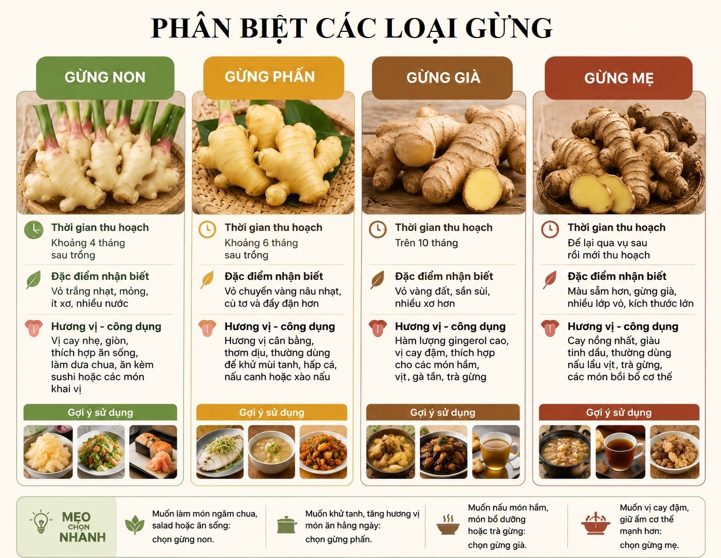 Loi ich cua gung anh 2