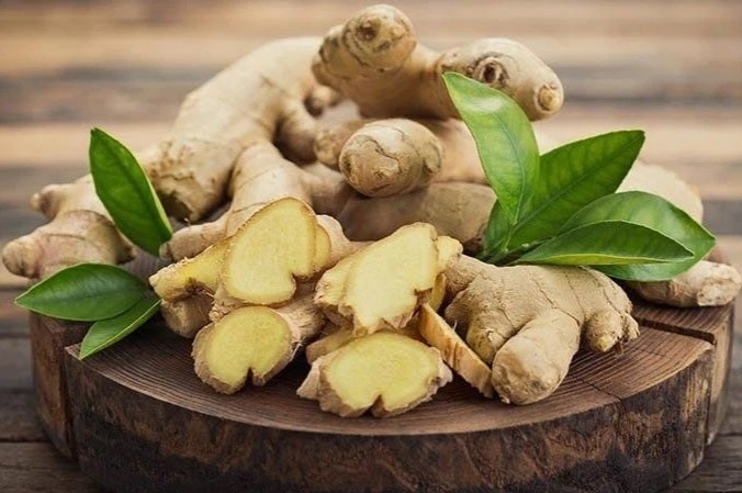 Cay thuoc quen thuoc bo chang kem nhan sam, khong cham van moc um tum hinh anh