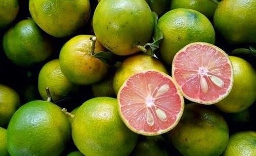 Loi ich khong ngo cua chanh dao hinh anh