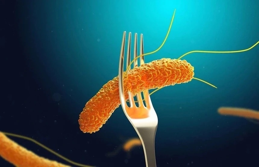 Vi khuan Salmonella anh 1