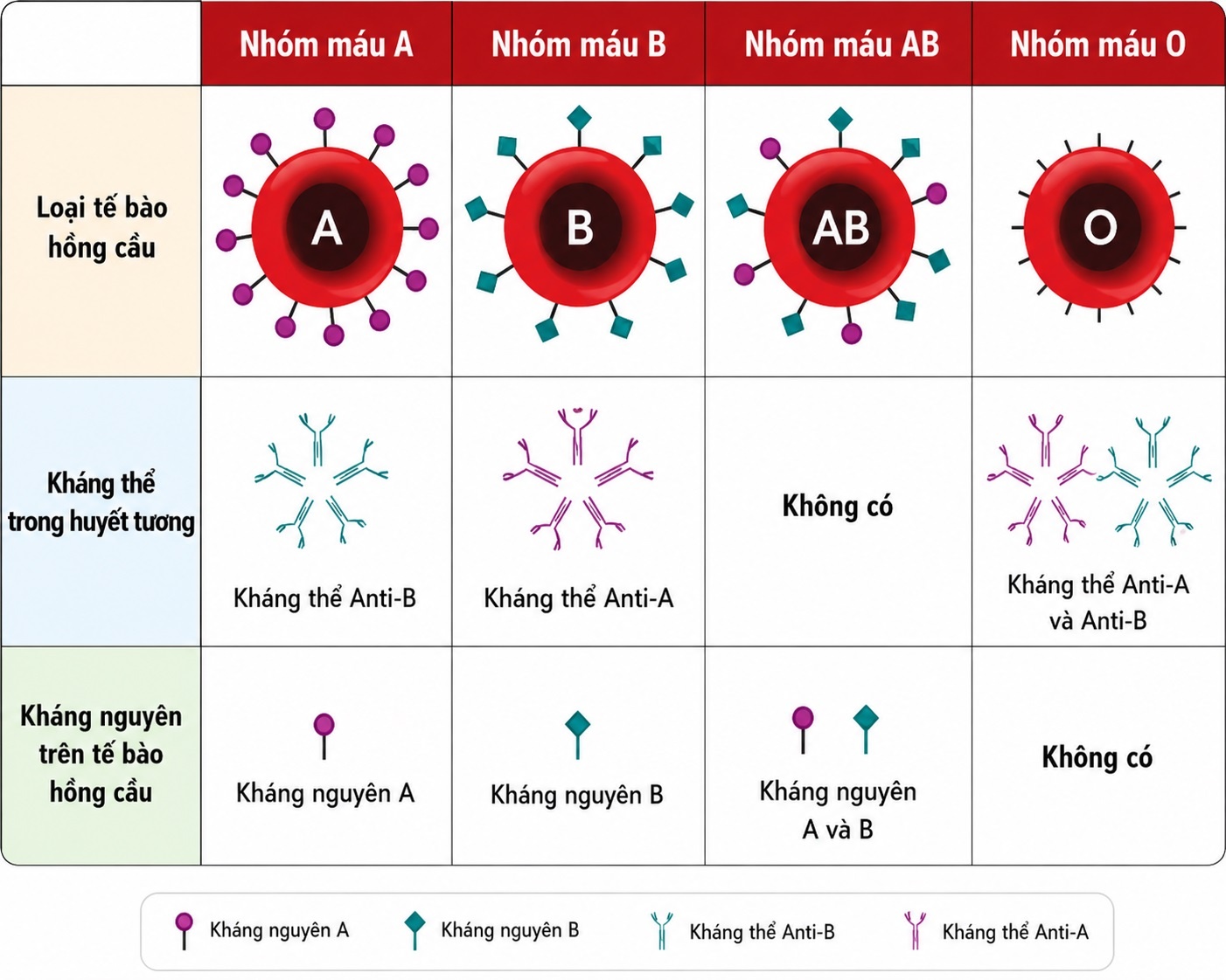 Nhom mau B anh 1