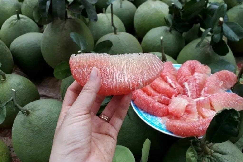 Khong chi ngon ngot, buoi da xanh con mang lai 8 loi ich bat ngo hinh anh