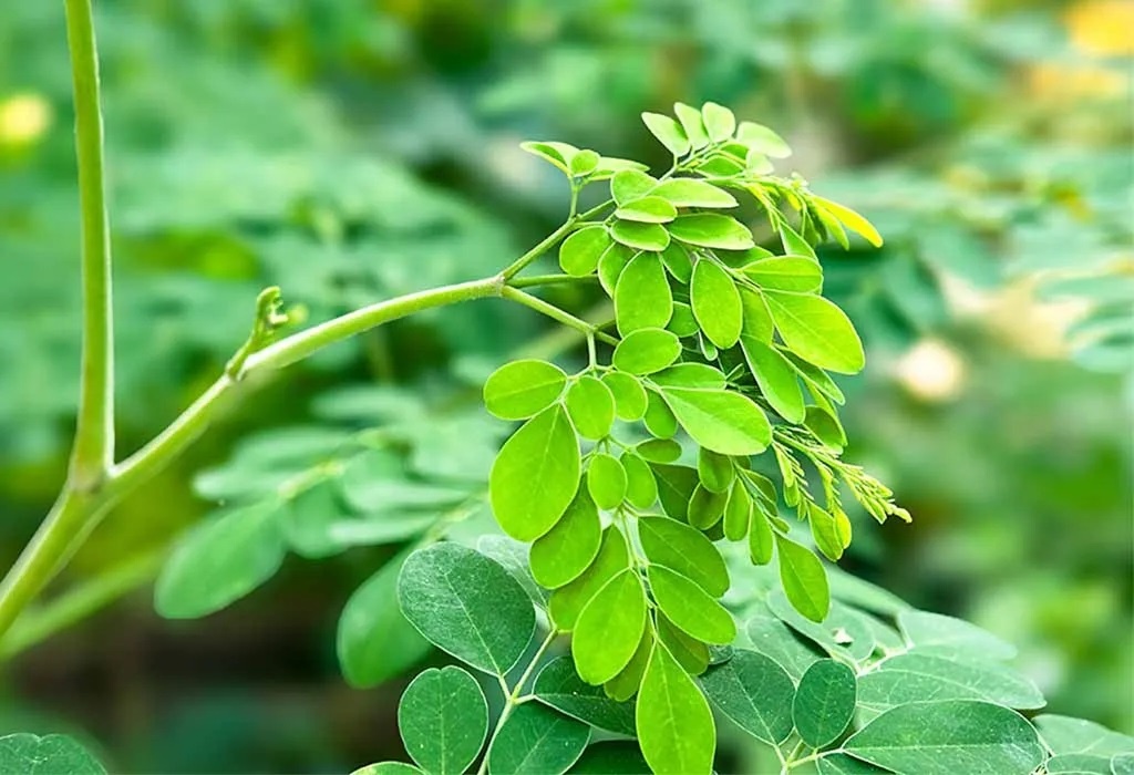 Phụ nữ sau sinh ảnh 1