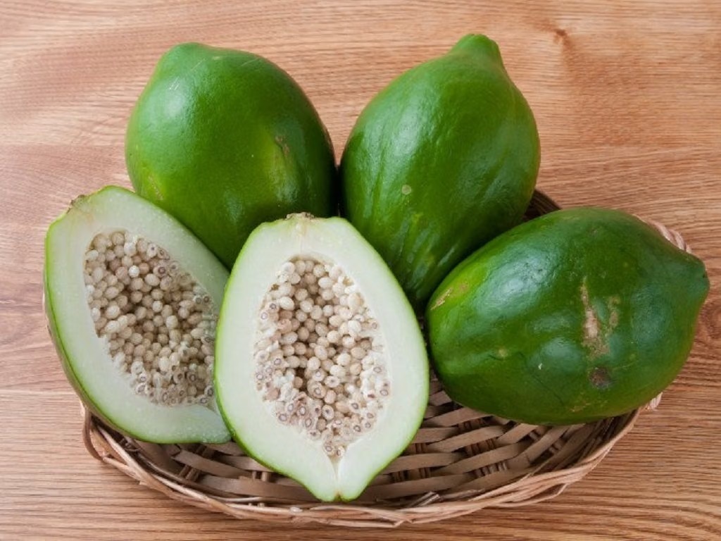 Đu đủ xanh ảnh 1
