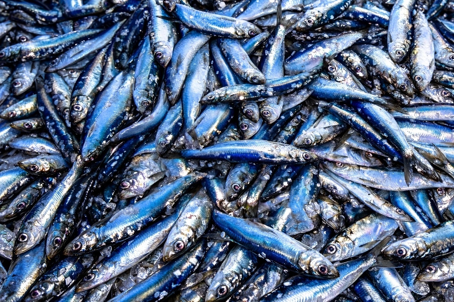 5 loại cá là kho chứa Omega-3