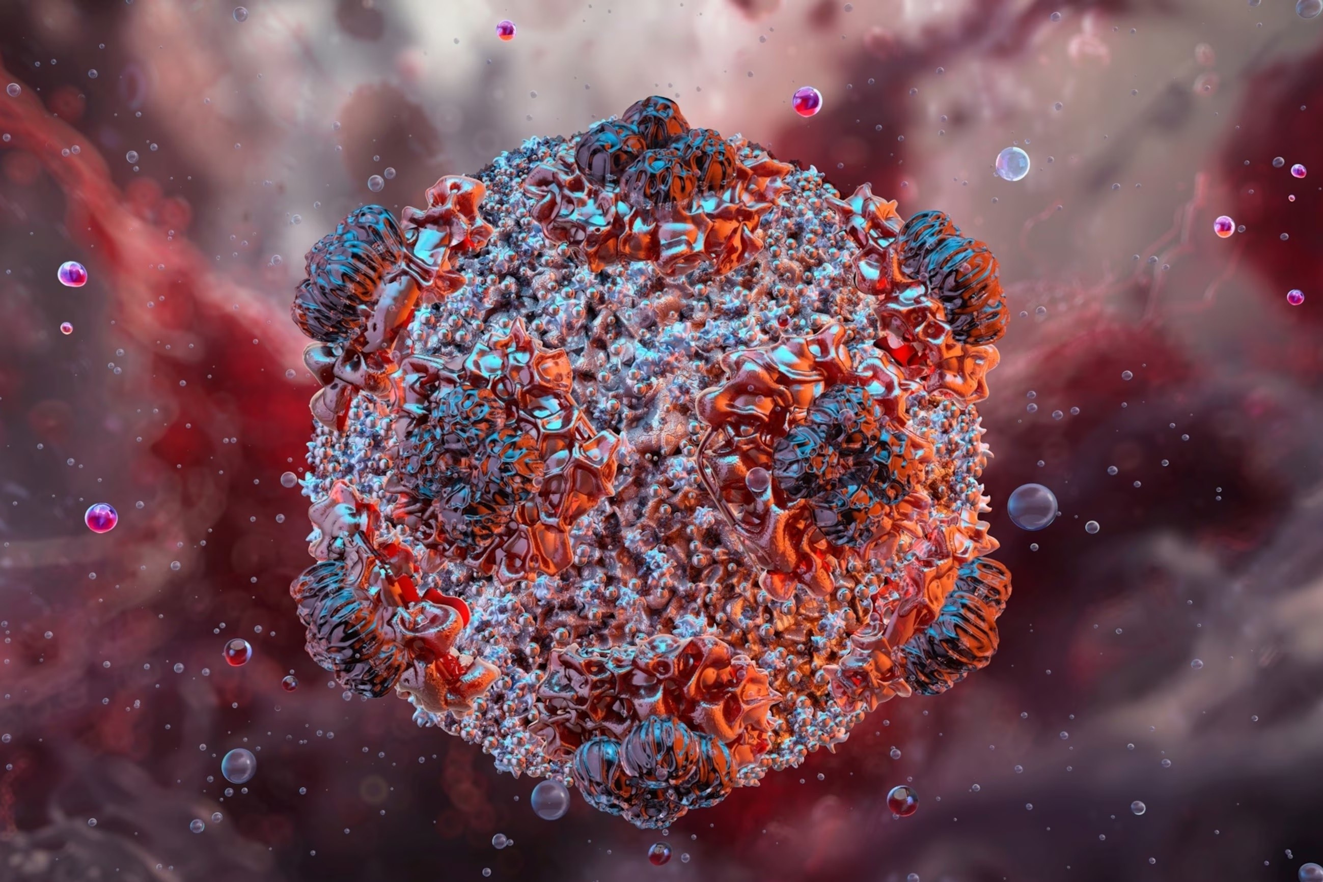 Pháp ghi nhận ca nhiễm mới virus Hanta chủng Andes