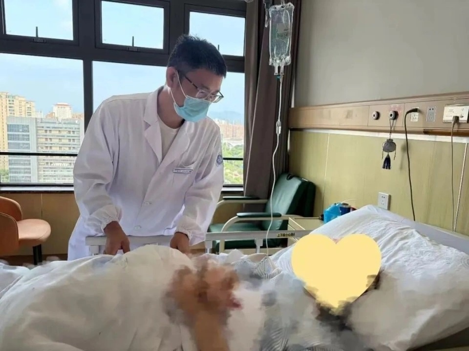 Ung thư dạ d&agrave;y ảnh 1