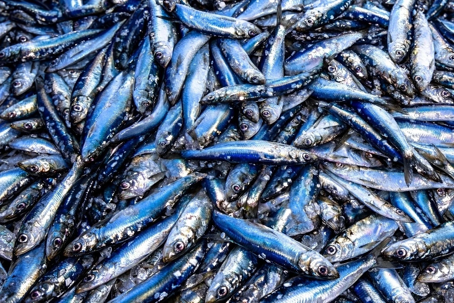 Loại cá quen thuộc giá rẻ giàu omega-3 không kém cá hồi
