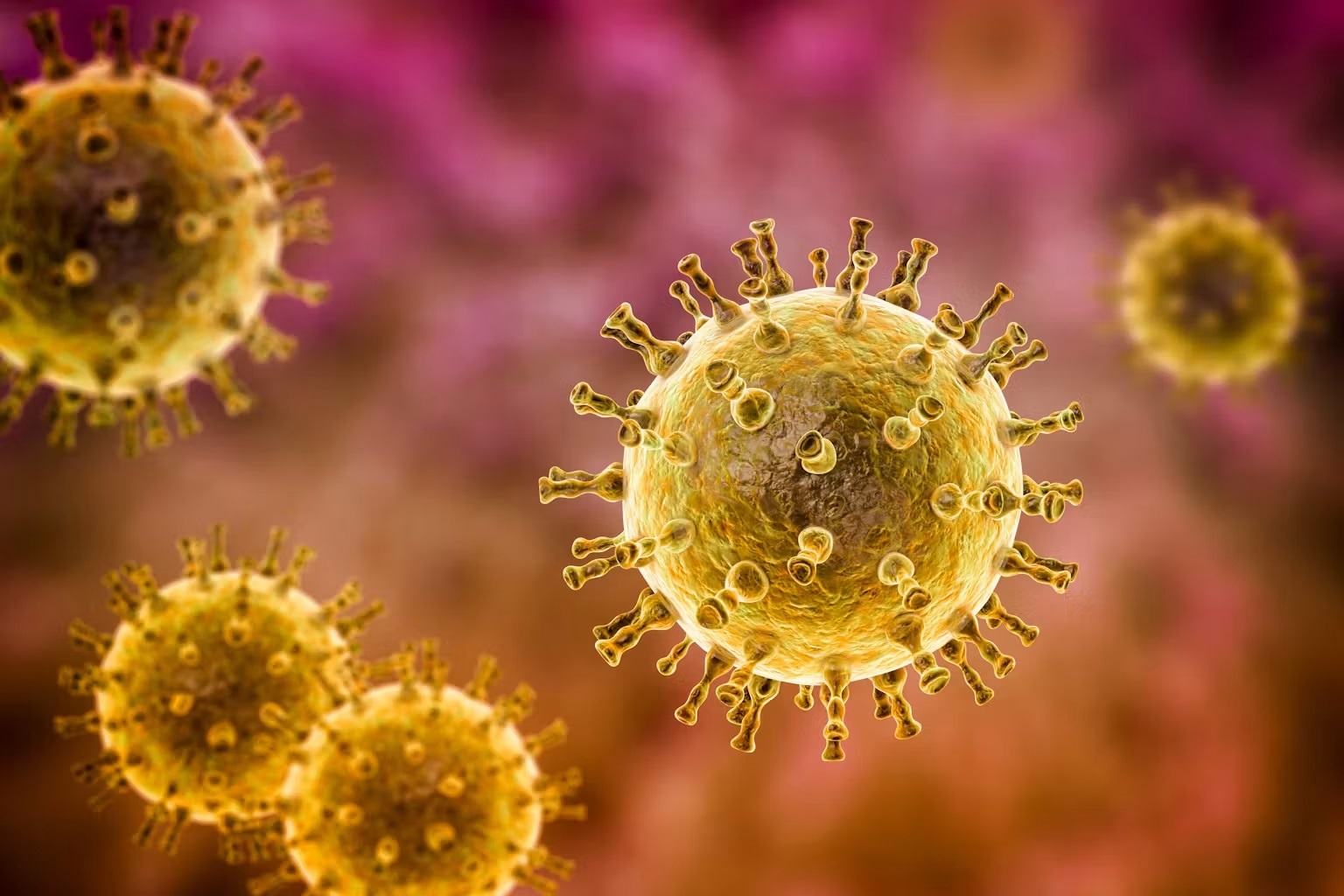 Loại virus gây đau đớn, tồn tại mãi mãi trong cơ thể một khi đã mắc