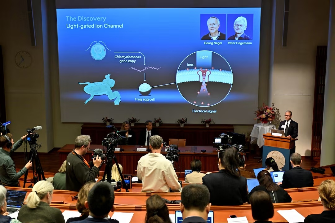Nobel Y học 2026 ảnh 1