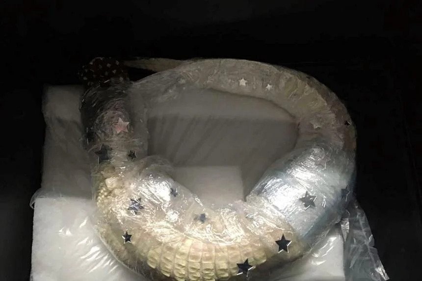 san bay Munich,  buon lau ca sau anh 1