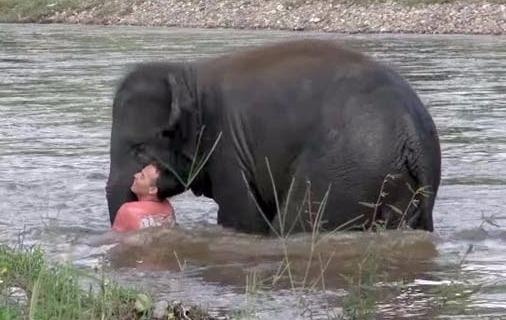 Voi lao xuong song cuu mang an nhan cu hinh anh