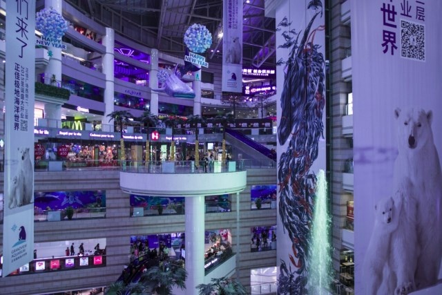 chú gấu bắc cực buồn nhất thế giới ảnh 3 chu gau bac cuc buon nhat the gioi anh 3