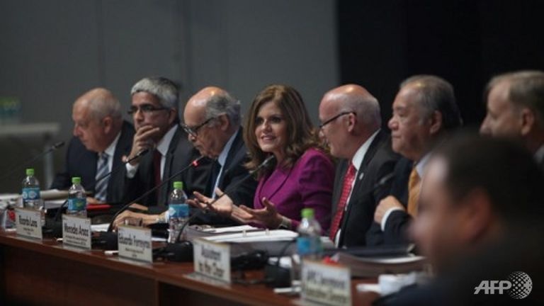 hoi nghi bo truong APEC anh 1