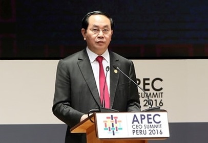 APEC 2017 va tam nhin chien luoc cua Viet Nam hinh anh