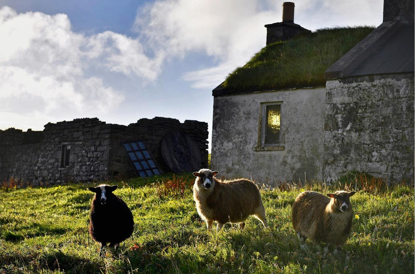 cuoc song noi tan cung the gioi anh 2