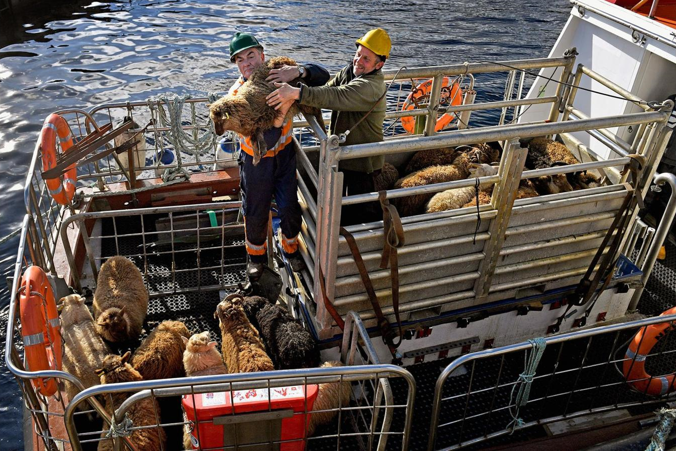 cuoc song noi tan cung the gioi anh 6