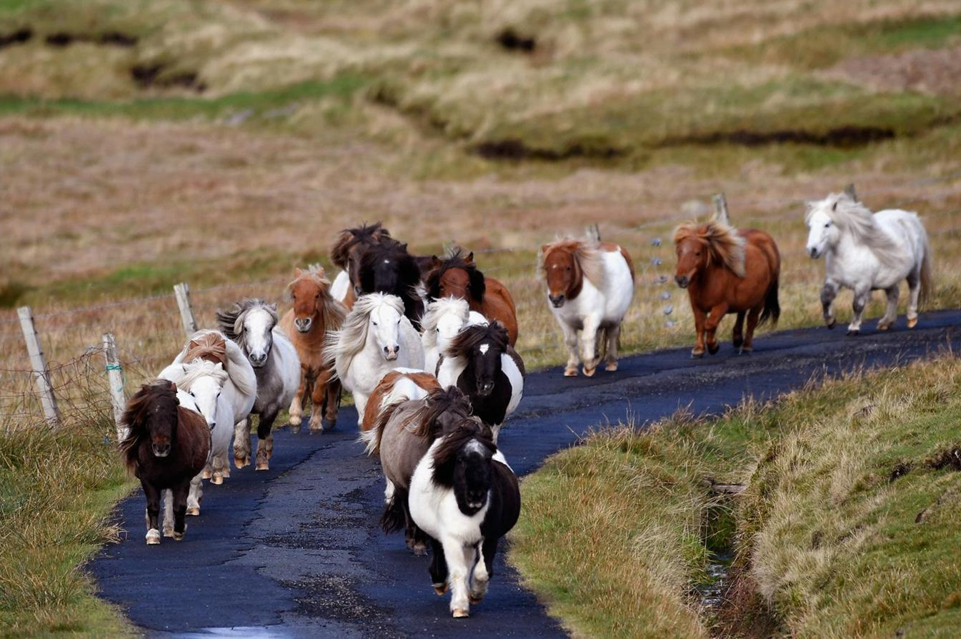 cuoc song noi tan cung the gioi anh 9