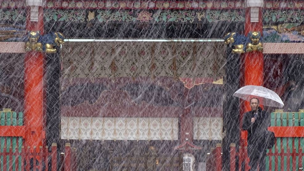 tuyết rơi tháng 11 ở Tokyo ảnh 1 tuyet roi thang 11 o Tokyo anh 1