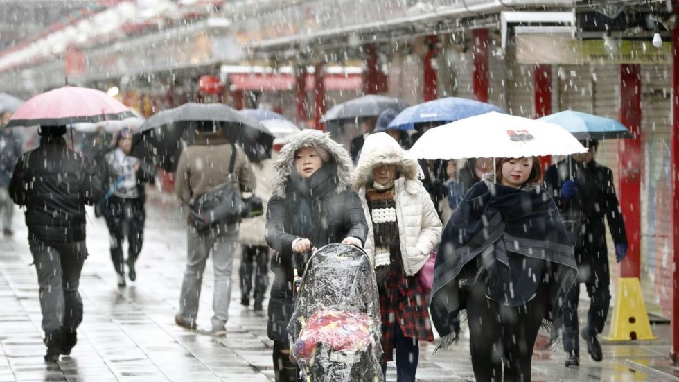 tuyết rơi tháng 11 ở Tokyo ảnh 2 tuyet roi thang 11 o Tokyo anh 2