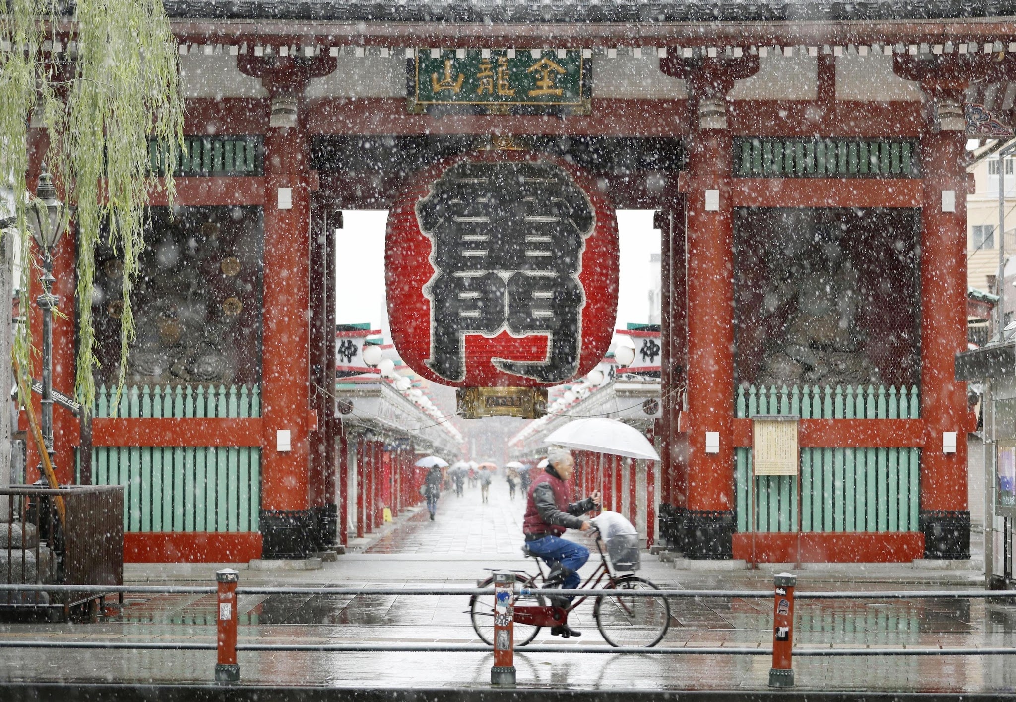 tuyết rơi tháng 11 ở Tokyo ảnh 3 tuyet roi thang 11 o Tokyo anh 3