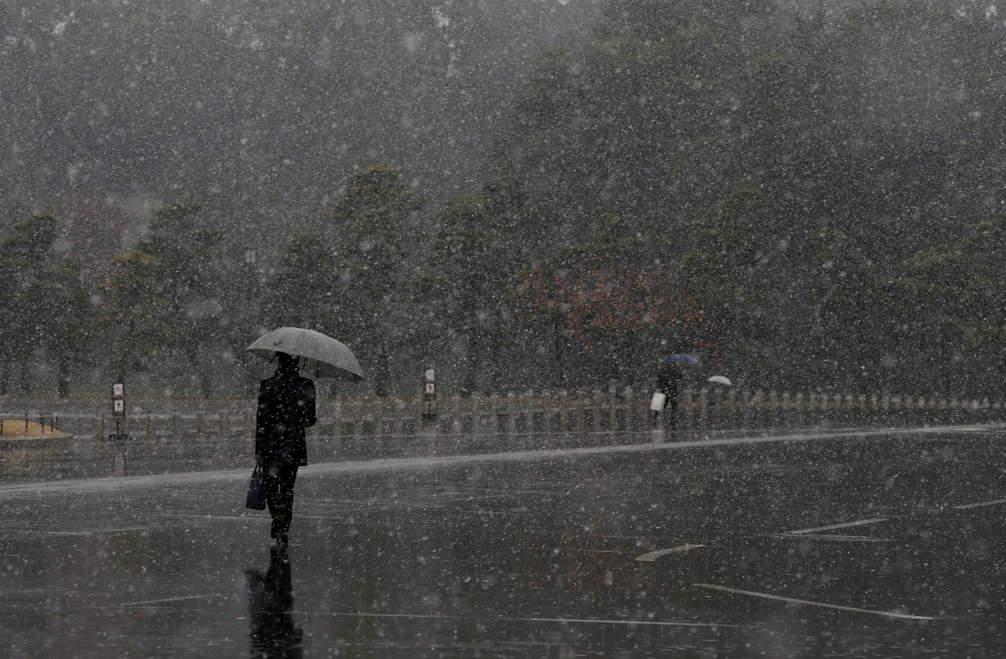 tuyet roi thang 11 o Tokyo anh 7