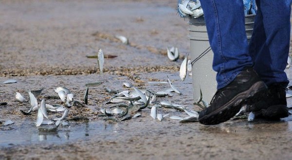 hien tuong thien nhien ky la anh 1